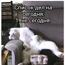   =^..^=,  -  15  2023    