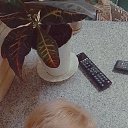 ���� �����, �����������, 87 ��� - ��������� 6 ������� 2023