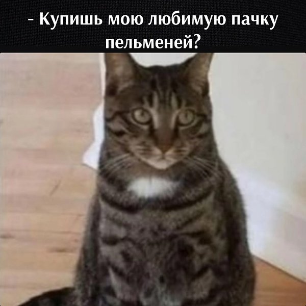 ��� ���� � ����� �� �� - 17 ������� 2026 � 14:02 - 2