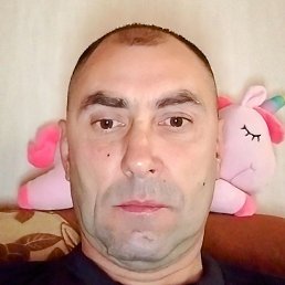 ����, ������� ��������, 44 ����