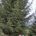 ���� �����, �����, 70 ��� - ��������� 7 ������ 2024