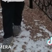 , 29 , 