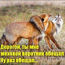 ���� ����������, ���������, 59 ��� - ��������� 23 ���� 2026 � ������ ������ ��������