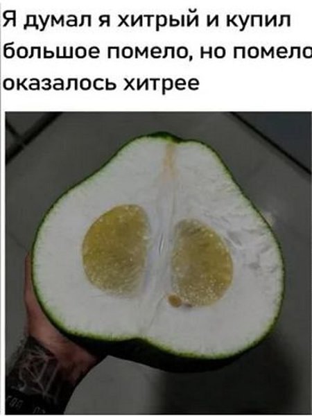 �� ����� ������! - 24 ������� 2026 � 23:38
