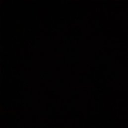 ������, ������, 49 ���