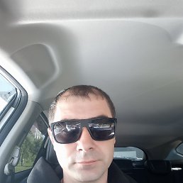 , 37, 