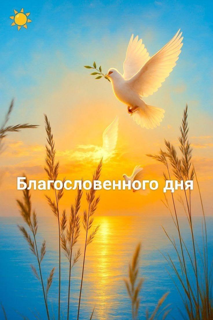 ������ - 11 ���� 2026 � 10:06