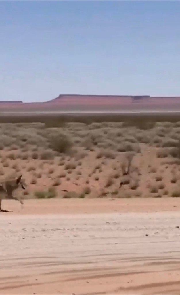 oo ap  a Loony uns:  oo  aepac ao ac  oo ... - 2