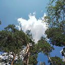 ���� ����, ������ - ��������� 12 ������� 2026 � ������ ������.����� �����.����������� �������.�