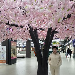 �����, �������, 60 ���