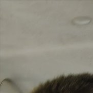 , 42 , 