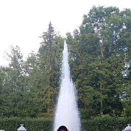 , , 53 