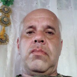 �����, ����, 46 ���