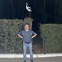 ���� ������, ��������, 41 ��� - ��������� 8 ������ 2026 � ������ ���� ����������