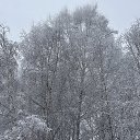 ���� ��������, ������� - ��������� 10 ������ 2025 � ������ ������ ��������