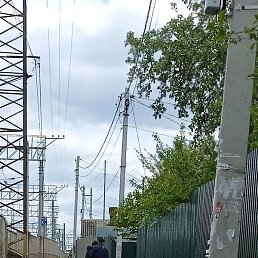 ����, ������, 66 ���