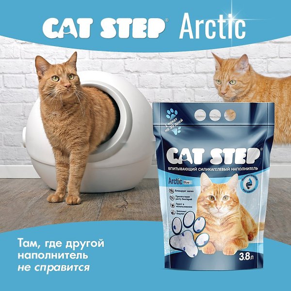     CAT STEP Arctic?   : vk.cc/crn0Ui - 4