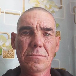  , , 51 