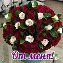 ���� �����, ���������� - ��������� 1 �������� 2024 � ������ ���� ����������