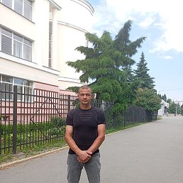 ����, ������, 43 ����