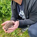 ���� ������, �����, 41 ��� - ��������� 2 ������ 2026