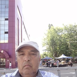 , 61, 