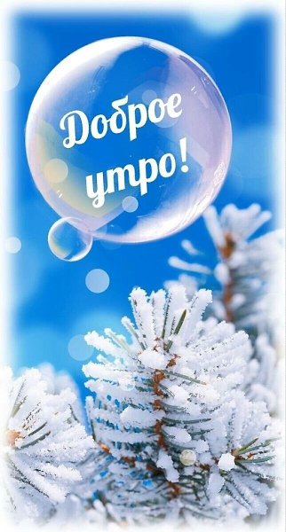   - 6  2024  07:39