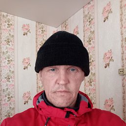 ��������, 42 ����, ����