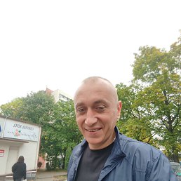 ���� ������, �����, 44 ���� - ��������� 15 ������ 2023