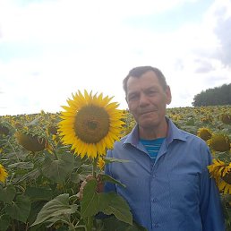 ������, ����, 61 ���