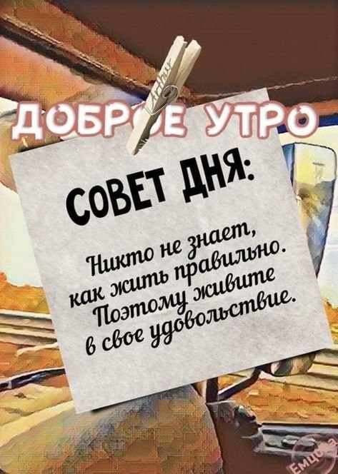  =^..^= - 4  2023  13:48