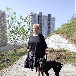 �������, ������, 73 ����