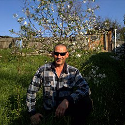 �����, 48 ���, ����