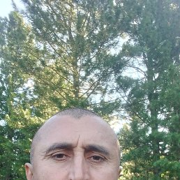 , 45 , 