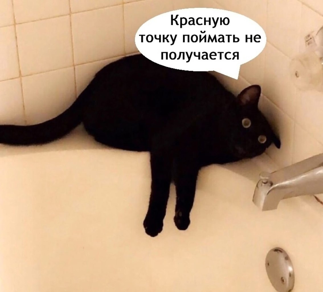 ���� - 18 �������� 2025 � 11:16 - 2