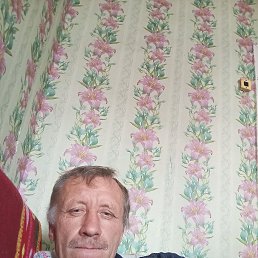 , 45, 