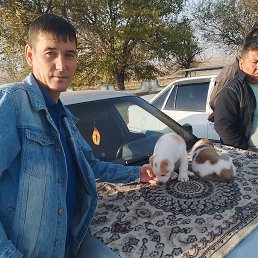 ���� ����, 40 ���, ���������