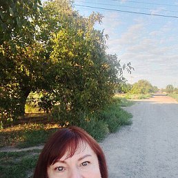 , 57, 