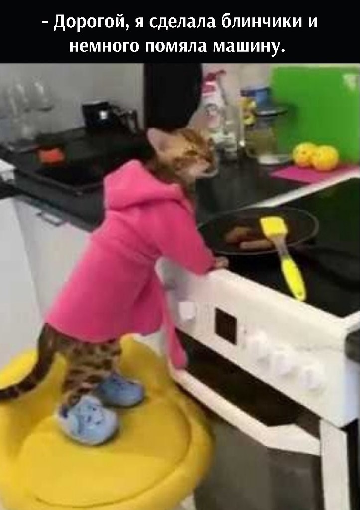       - 9  2025  22:00