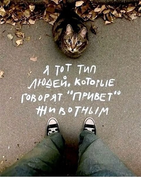 ������������ �� �������... - 7 ������ 2026 � 23:27