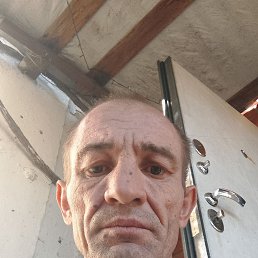 , 45, 