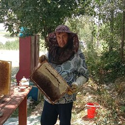 ���� �����, �����-���������, 54 ���� - ��������� 10 ��� 2024