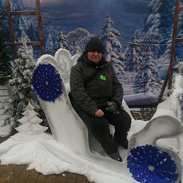 , 44, 