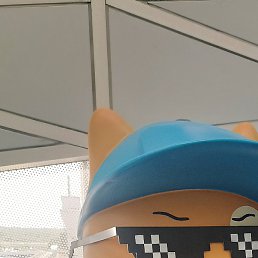 ������, ���, 38 ���