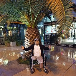 ��������� ���������, ������, 39 ���