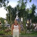���� ������, �����, 66 ��� - ��������� 16 ������ 2024 � ������ ���� ����������
