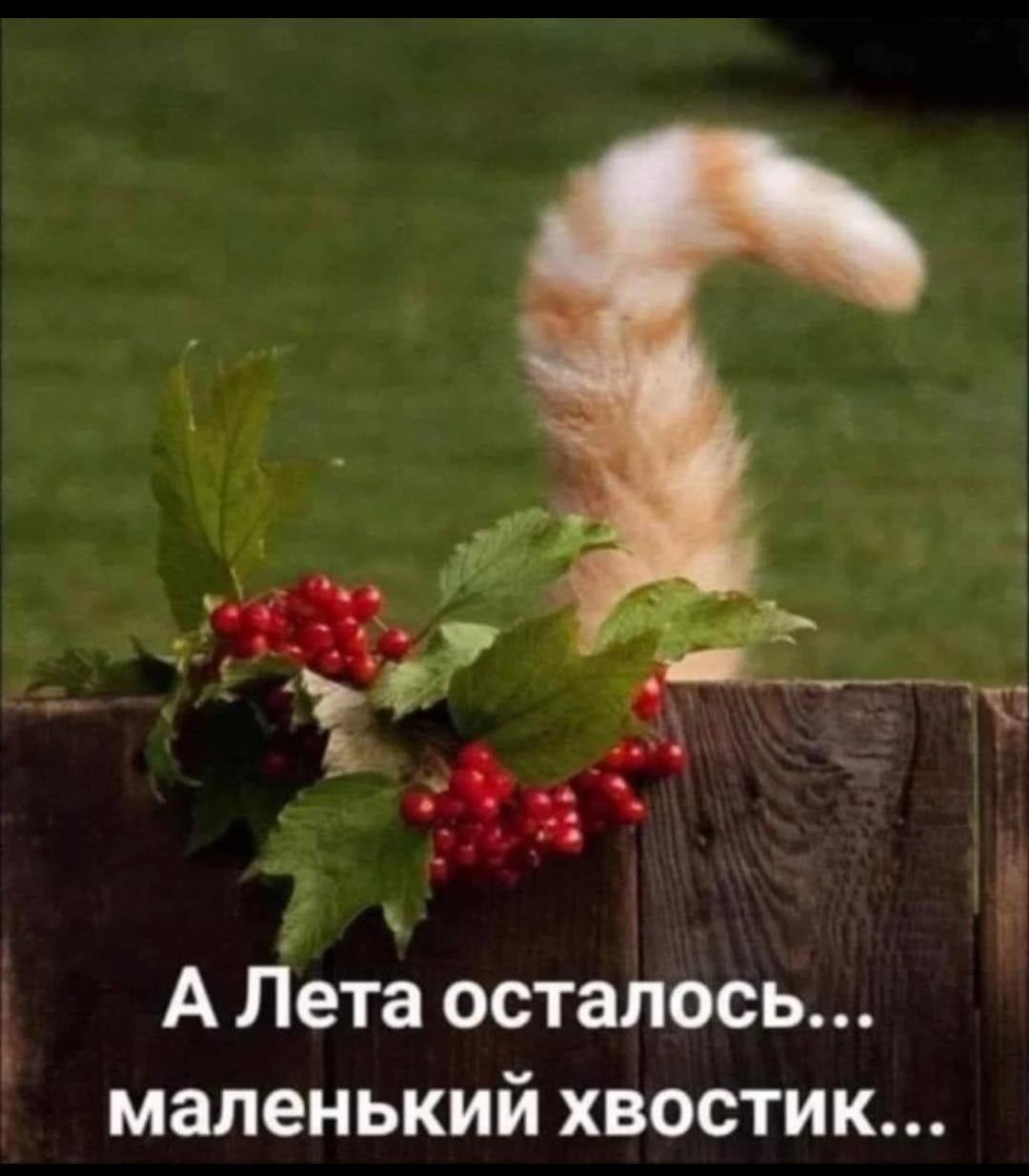 ������ �������� - 29 ������� 2025 � 21:23