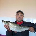 ���� ������, ������, 49 ��� - ��������� 29 ������ 2024 � ������ ���� ����������