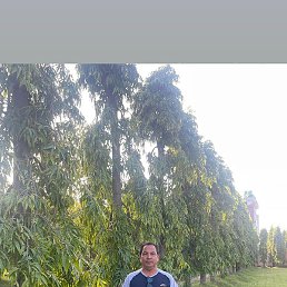 Mohan, , 25 
