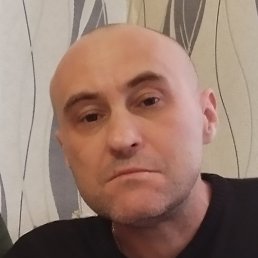 ����, �����-���������, 49 ���